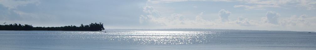 Samar